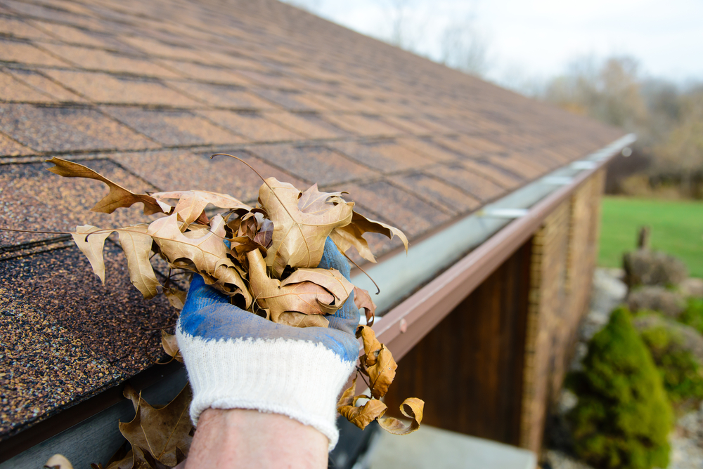 Cleaning Out Gutter System