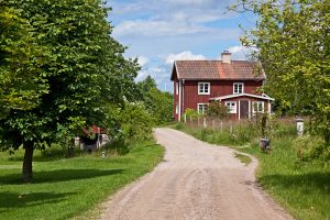 rural road