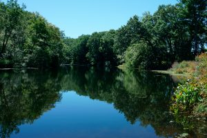 Needham, MA Lake